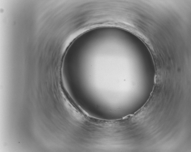 X0000088581530200706011100