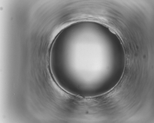 X0000088581531200706011100