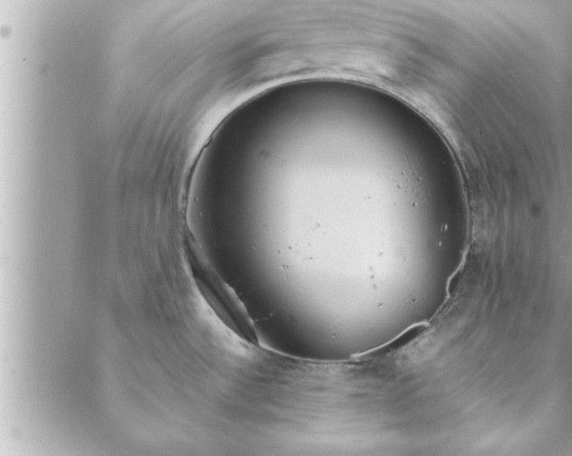 X0000088581532200706011100