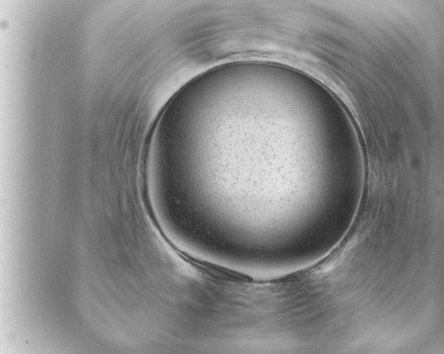 X0000088581533200706011100