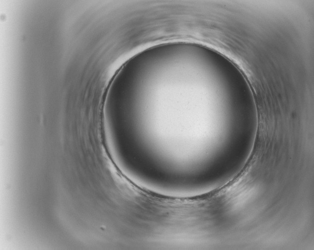 X0000088581534200706011100