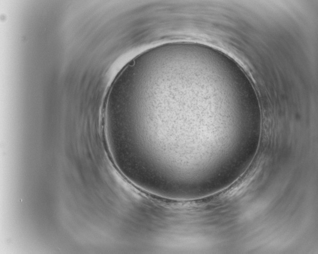 X0000088581535200706011100