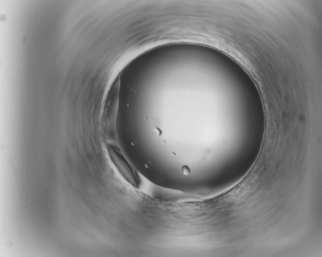 X0000088581536200706011100