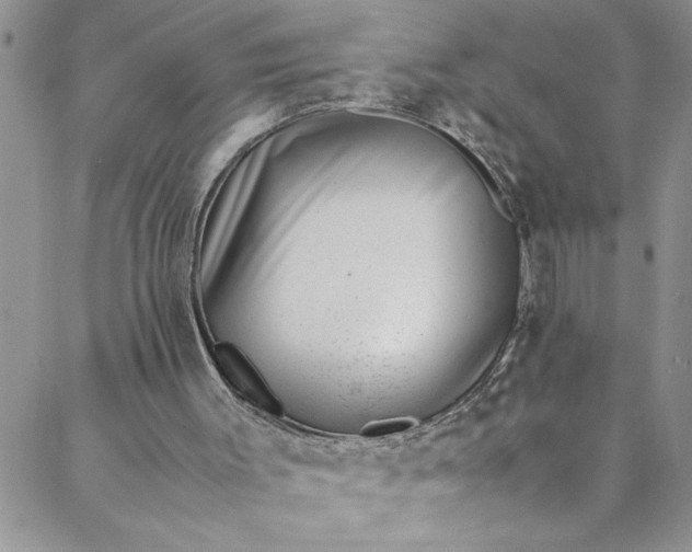 X0000088580003200706081134