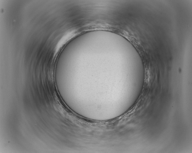 X0000088580004200706081134