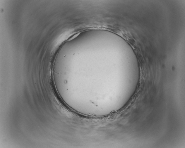 X0000088580005200706081134