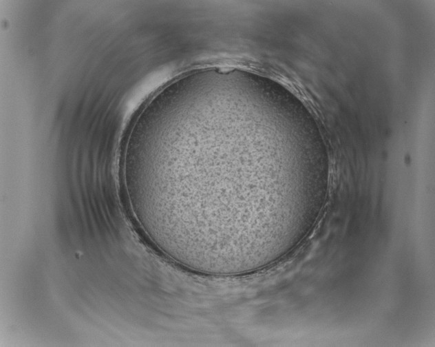 X0000088580006200706081134