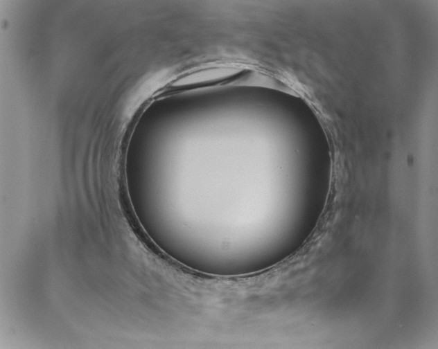 X0000088580007200706081134