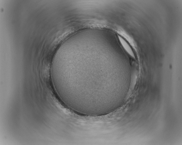 X0000088580009200706081134