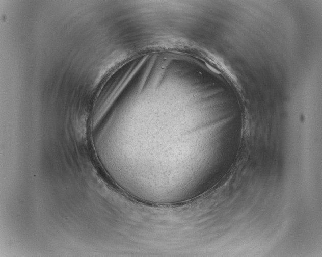 X0000088580010200706081134