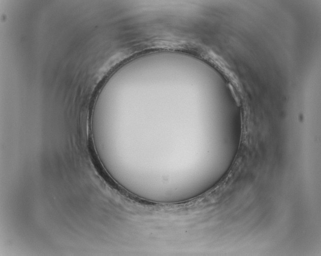 X0000088580011200706081134