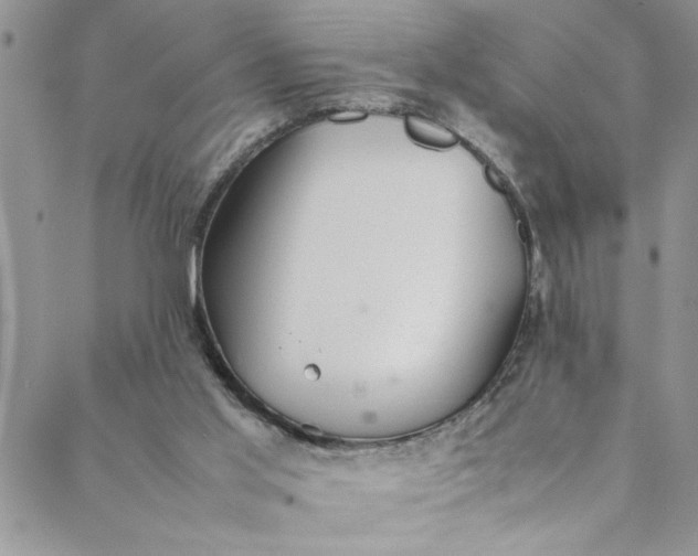 X0000088580013200706081134