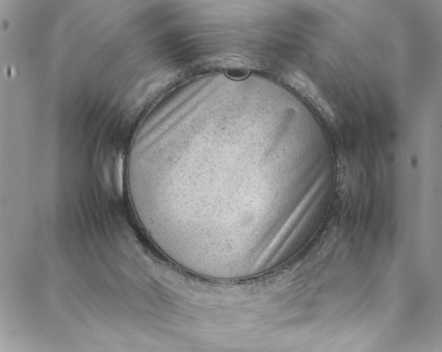 X0000088580014200706081134