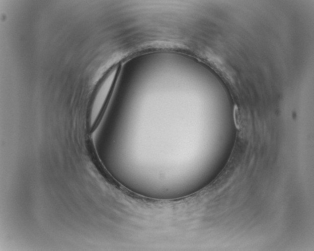 X0000088580015200706081134