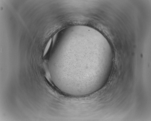 X0000088580017200706081134