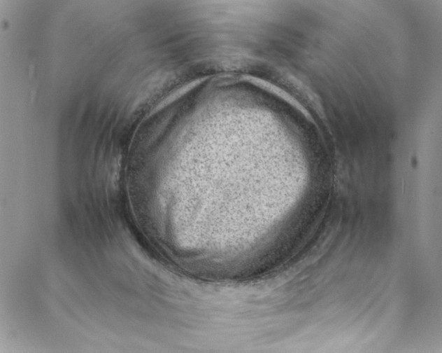 X0000088580018200706081134