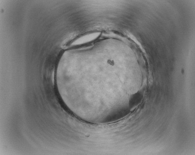 X0000088580019200706081134