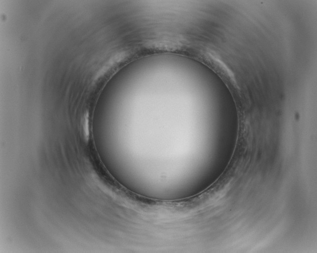 X0000088580020200706081134