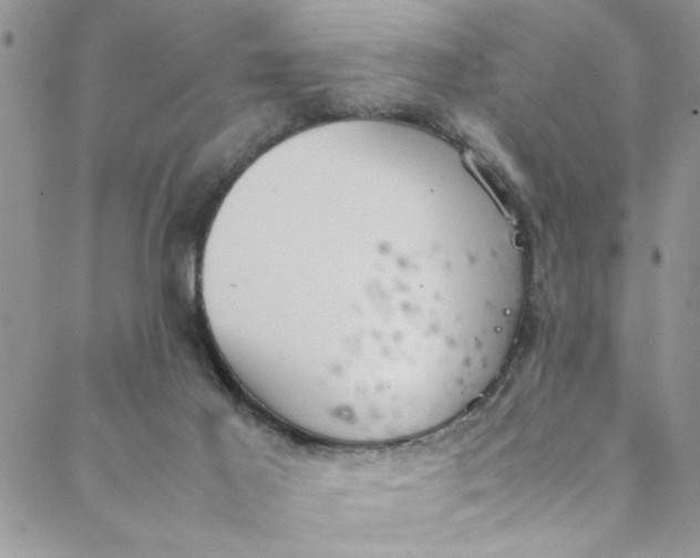 X0000088580021200706081134