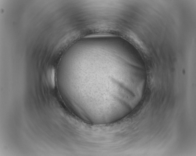 X0000088580022200706081134