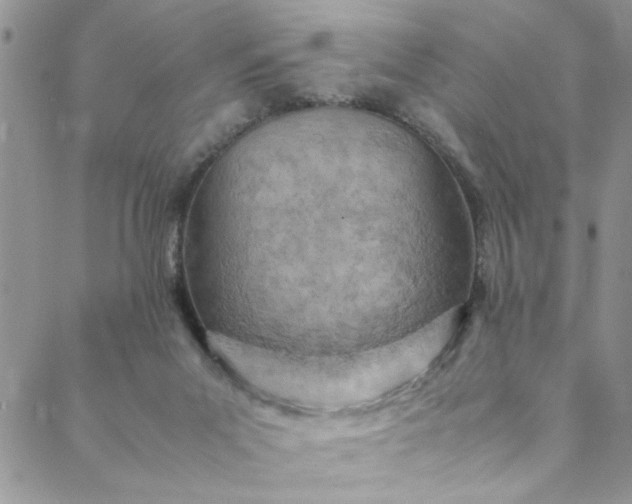 X0000088580023200706081134