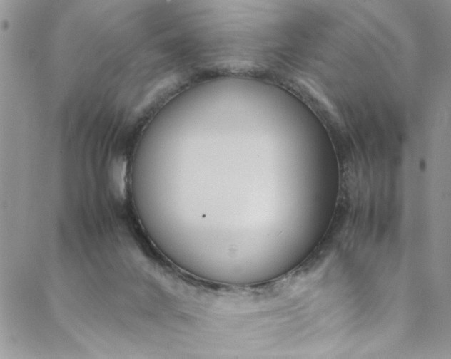 X0000088580024200706081134