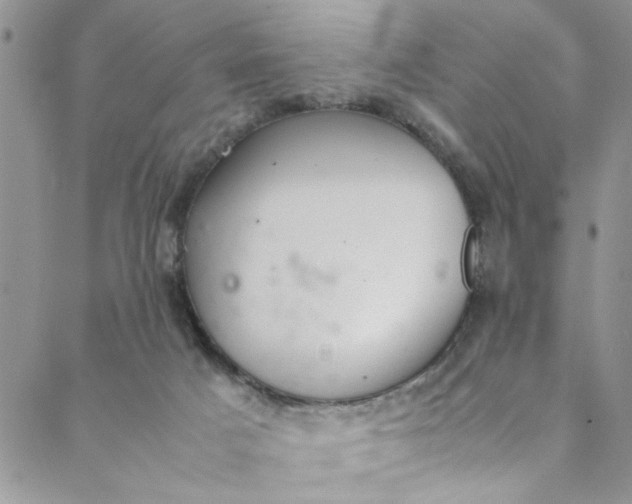 X0000088580025200706081134