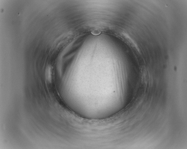 X0000088580026200706081134