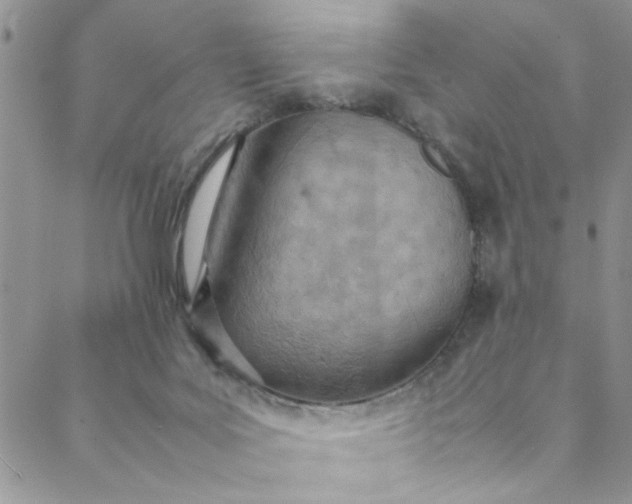 X0000088580027200706081134