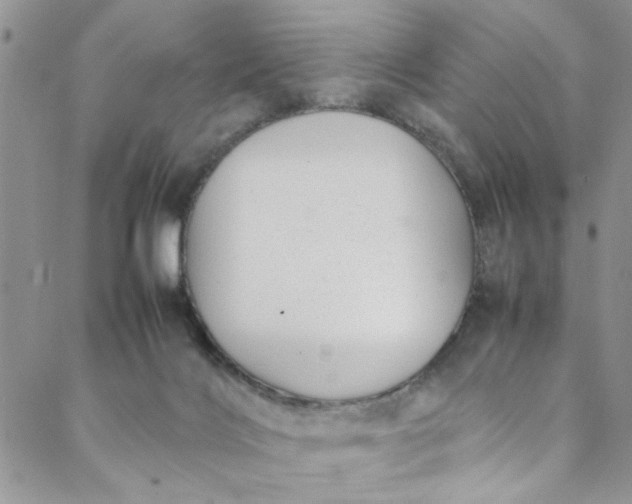 X0000088580028200706081134