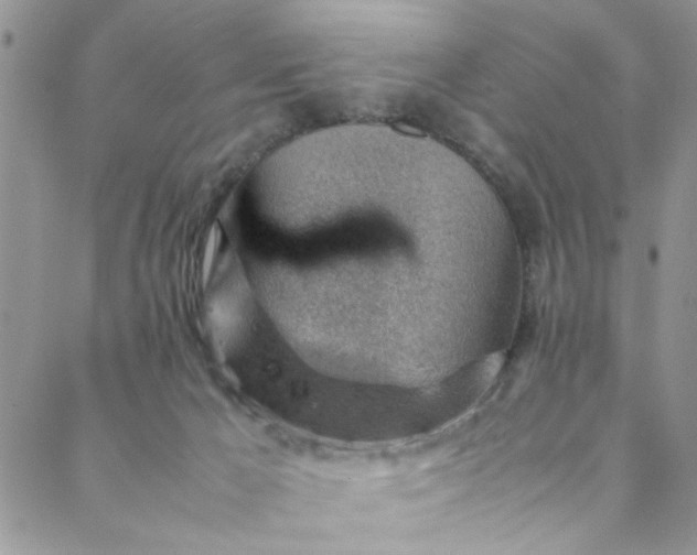 X0000088580029200706081134