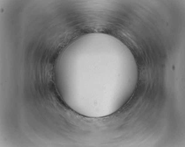 X0000088580030200706081134