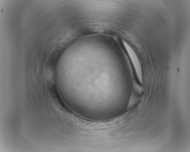 X0000088580031200706081134