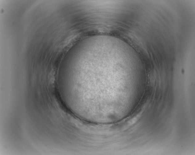 X0000088580032200706081134