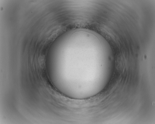 X0000088580034200706081134