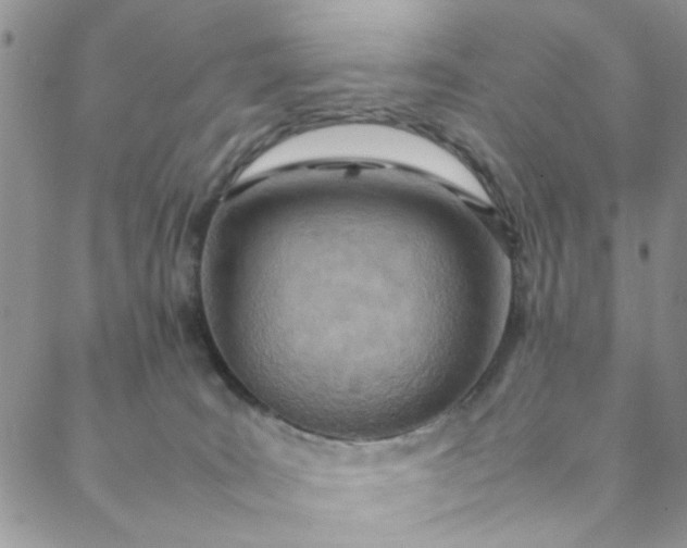 X0000088580035200706081134