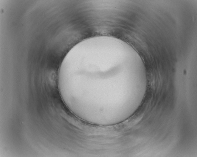 X0000088580036200706081134