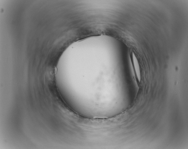 X0000088580037200706081134