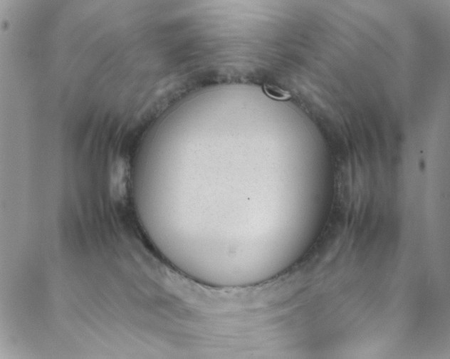 X0000088580038200706081134