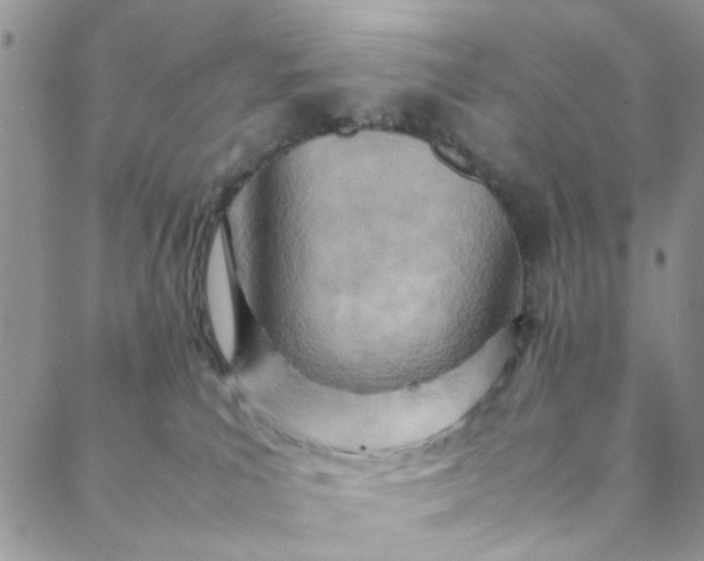 X0000088580039200706081134