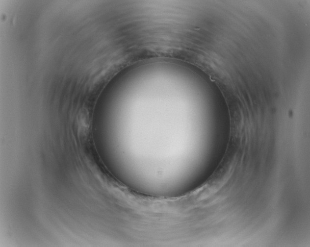 X0000088580040200706081134