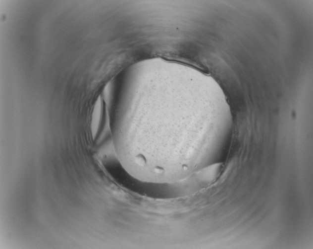 X0000088580041200706081134