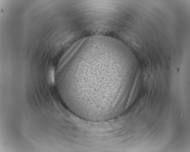 X0000088580042200706081134