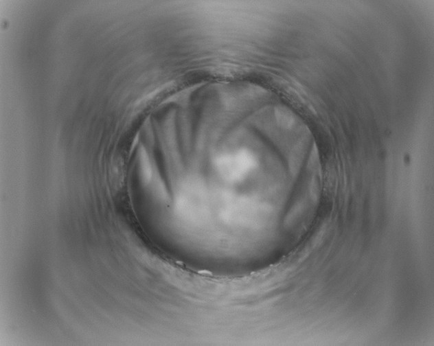 X0000088580043200706081134