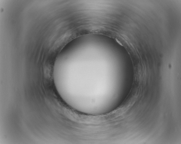 X0000088580044200706081134