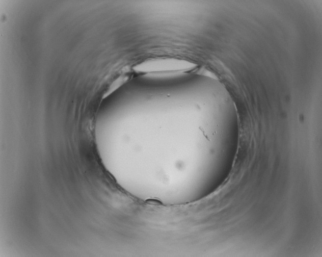 X0000088580045200706081134