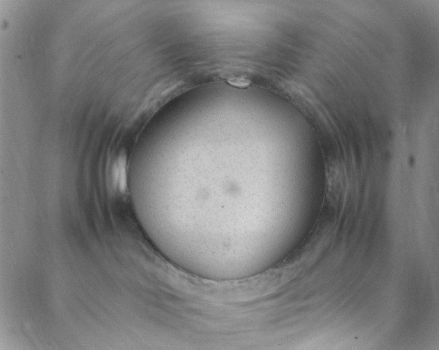 X0000088580046200706081134