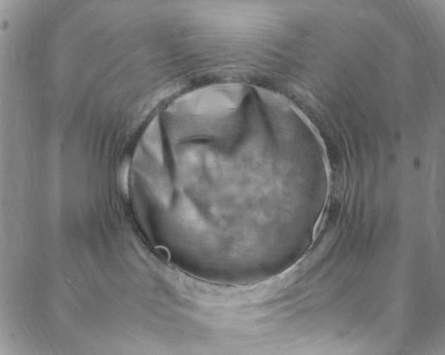 X0000088580047200706081134