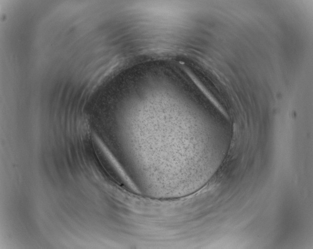 X0000088580048200706081134