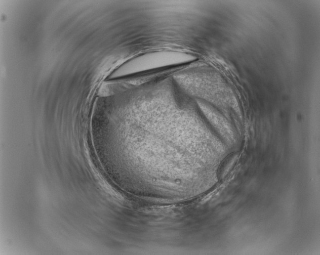 X0000088580049200706081133